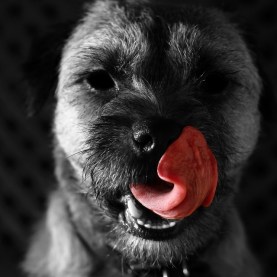 5416537777_ed546d8bf9_z