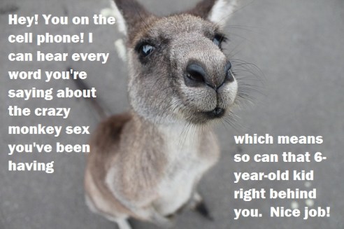 kangaroo-1149807_640 1