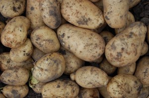 potatoes-1183623_640